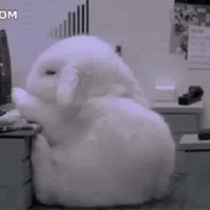 Meet your Posher, Chang ju